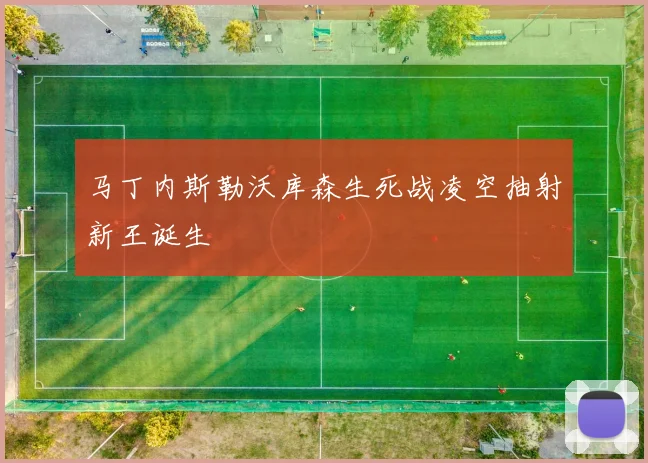 马丁内斯勒沃库森生死战凌空抽射新王诞生