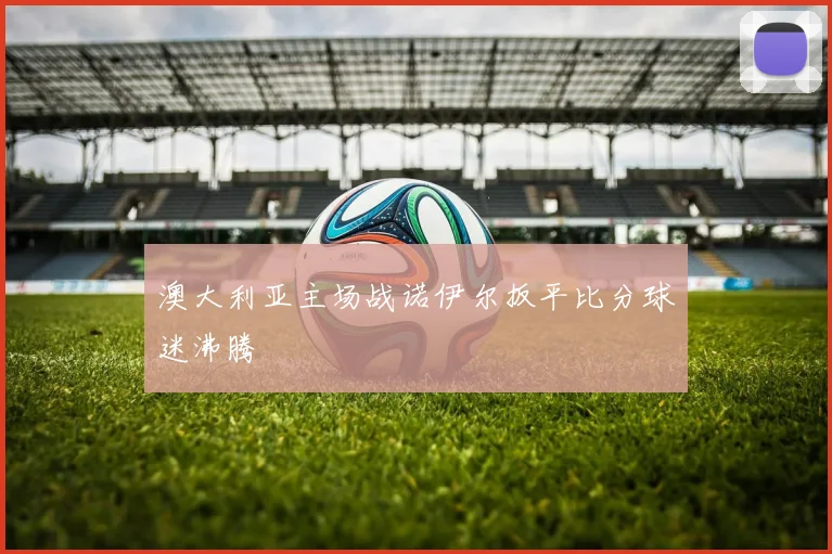 澳大利亚主场战诺伊尔扳平比分球迷沸腾