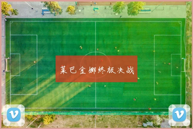 莱巴金娜终极决战
