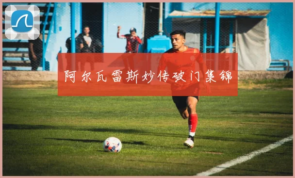 阿尔瓦雷斯妙传破门集锦