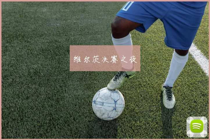 维尔茨决赛之夜