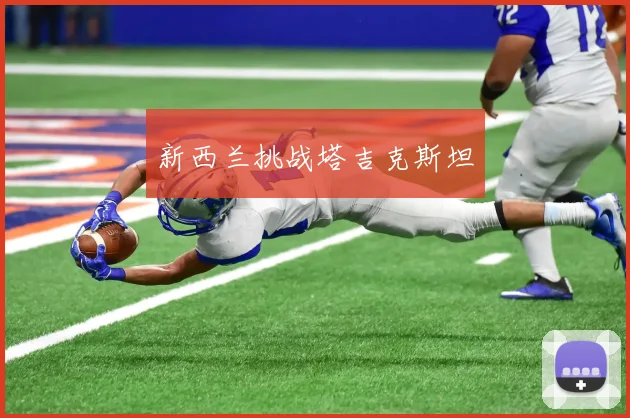 新西兰挑战塔吉克斯坦