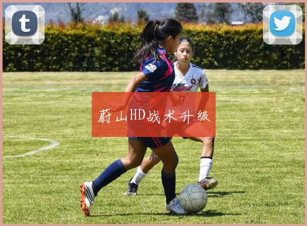 蔚山HD战术升级