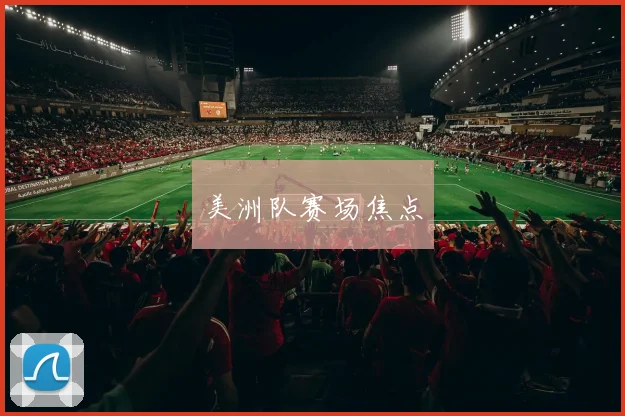 美洲队赛场焦点