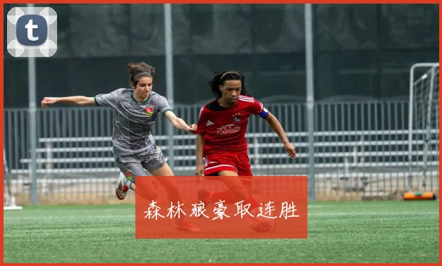 森林狼豪取连胜