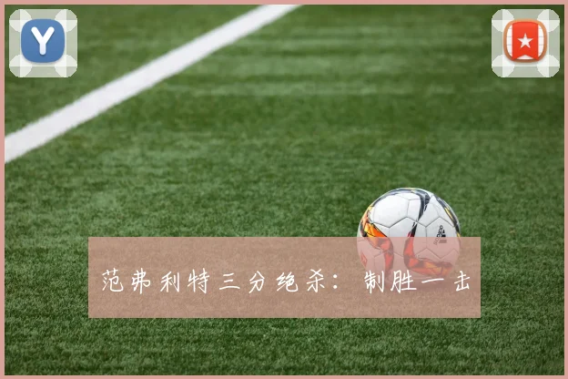 范弗利特三分绝杀：制胜一击