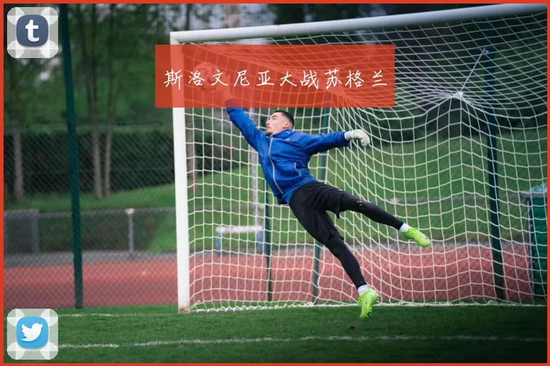 斯洛文尼亚大战苏格兰