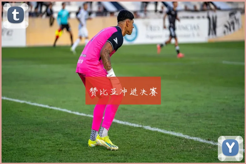 赞比亚冲进决赛