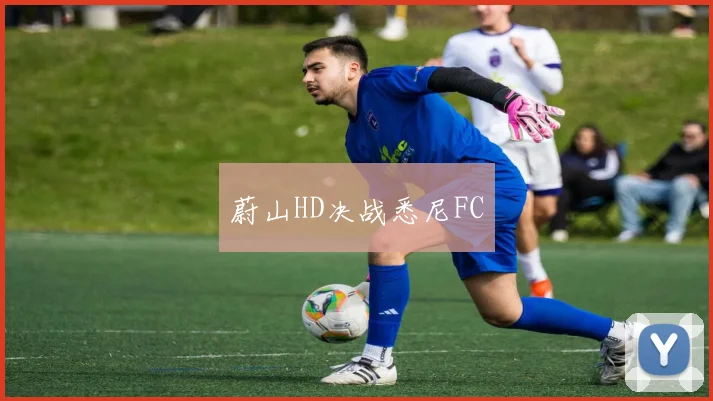 蔚山HD决战悉尼FC