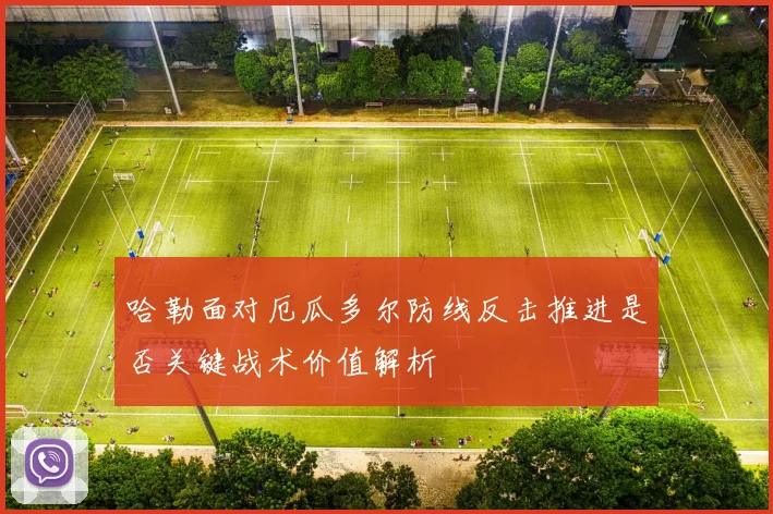 哈勒面对厄瓜多尔防线反击推进是否关键战术价值解析