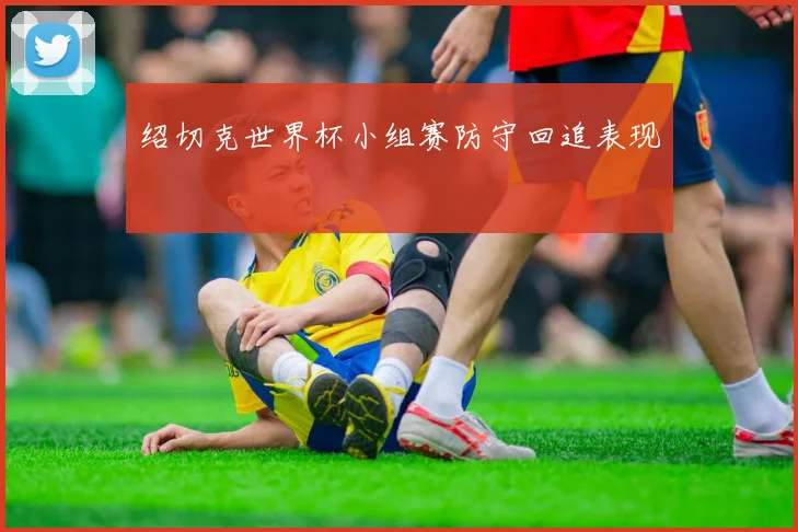 绍切克世界杯小组赛防守回追表现