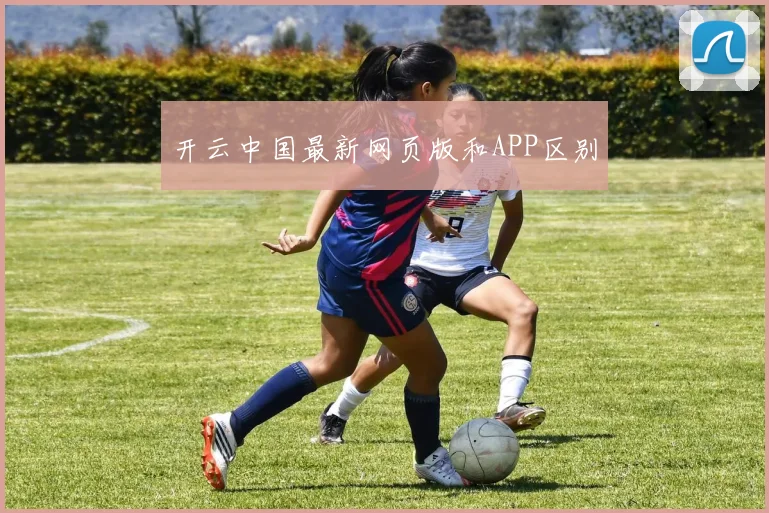 开云中国最新网页版和APP区别